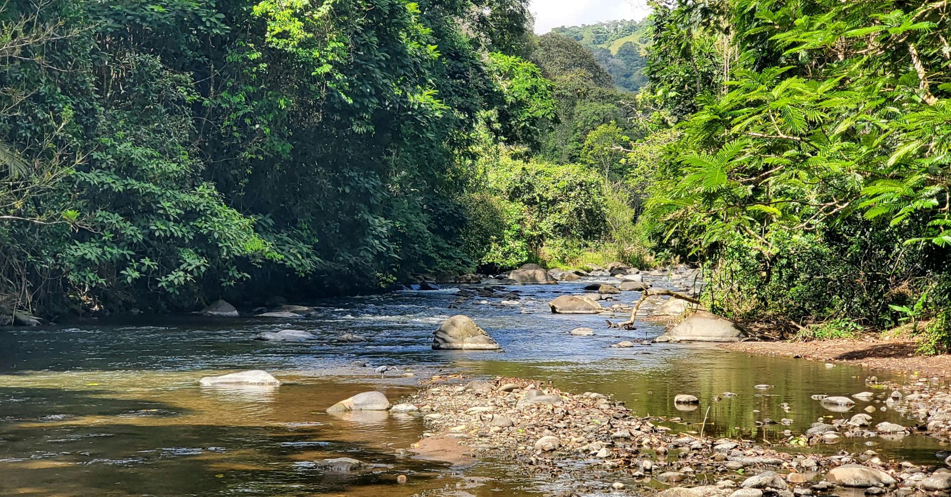 black river gorges