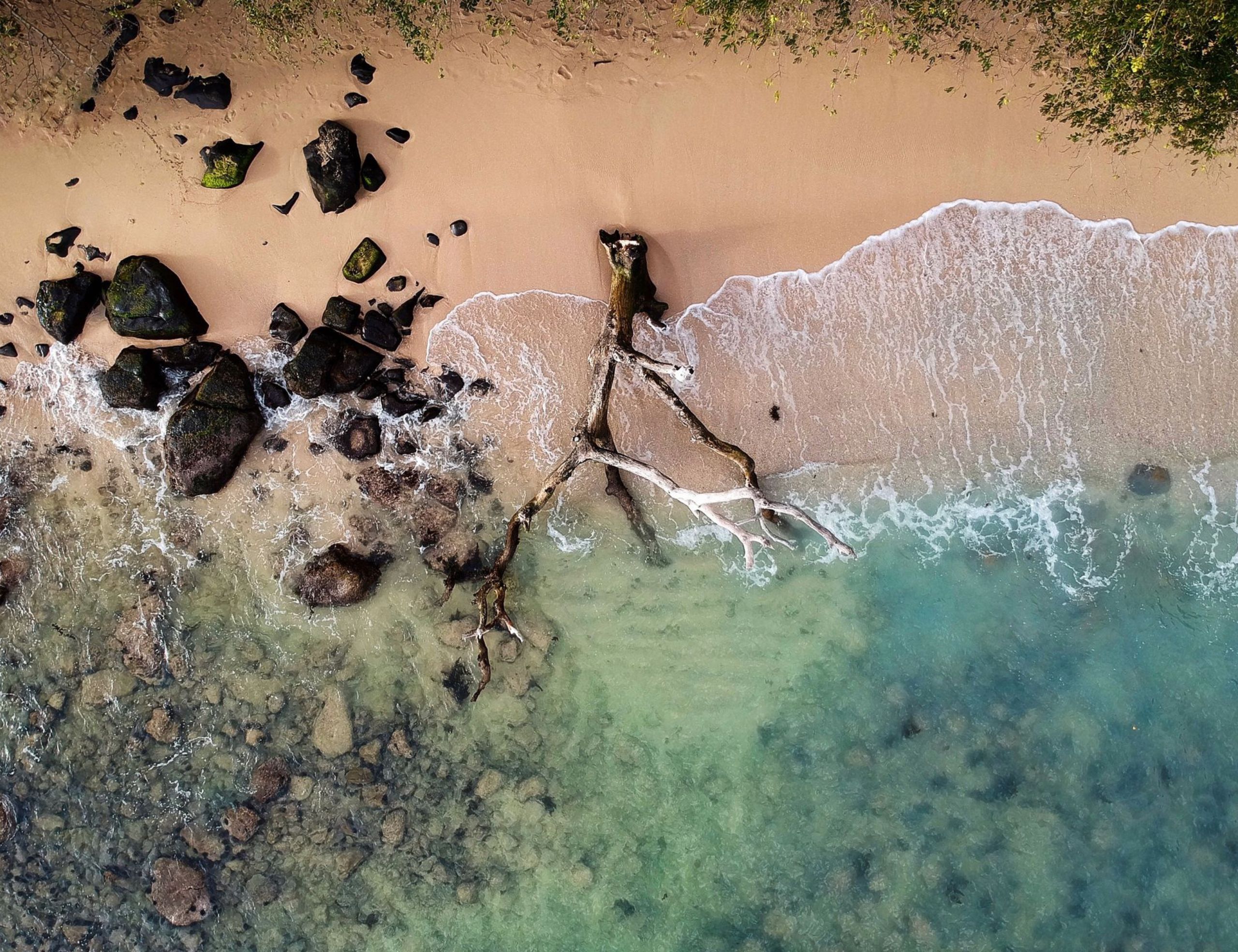 Saving Mauritius beaches