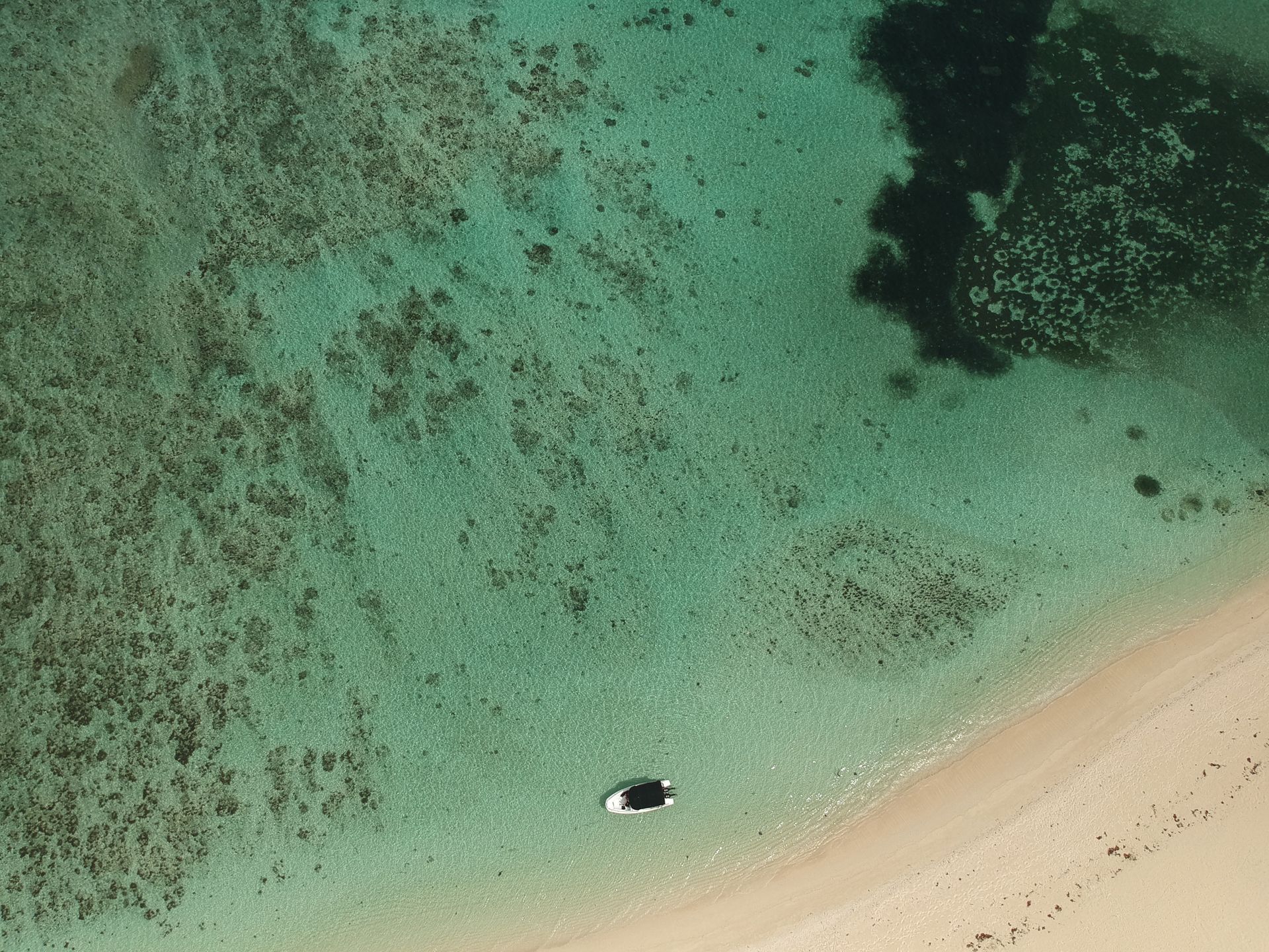 turquoise waters of Mauritius lagoon
