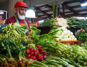 vegetable market mauritius