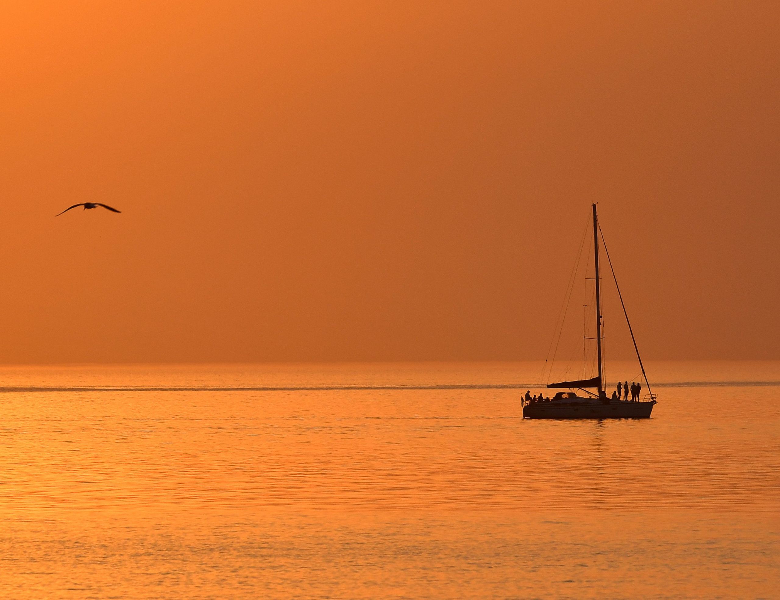 Turtle Cruise Sunset Catamaran